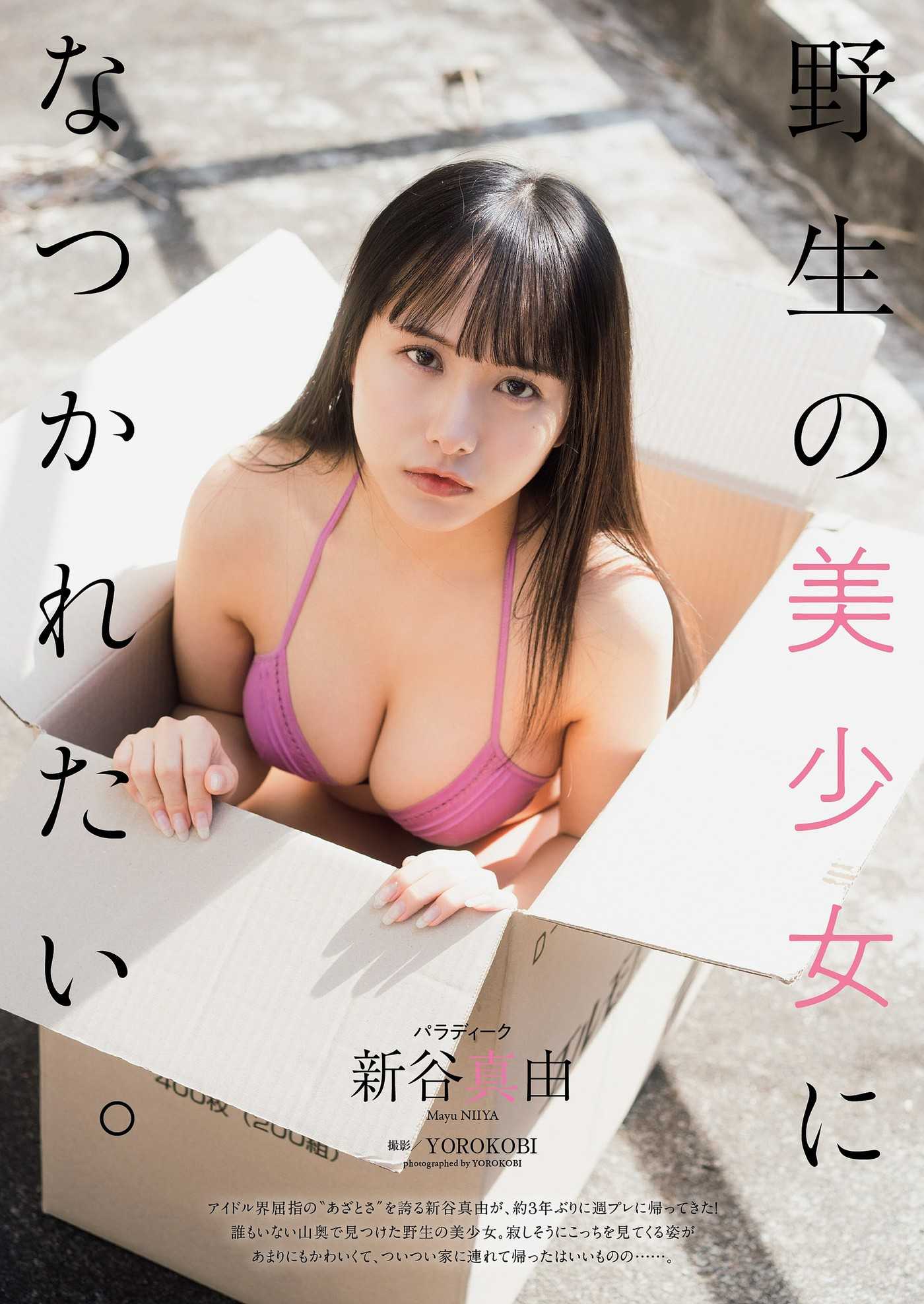 Mayu Niiya 新谷真由, Weekly Playboy 2022 No.15 (週刊プレイボーイ 2022年15号)