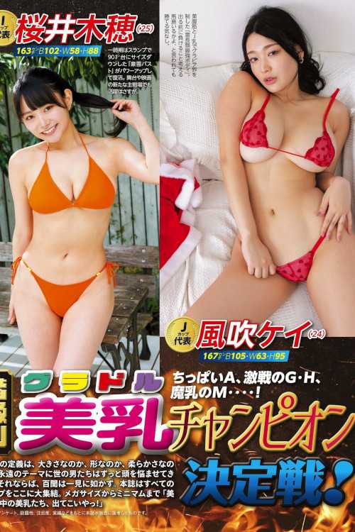 階級別グラドル美乳チャンピオン決定戦！, アサ芸SECRET！ 2024.05.01 VOL.87